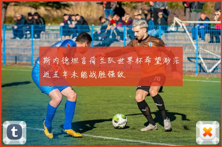 斯内德坦言荷兰队世界杯希望渺茫近五年未能战胜强敌
