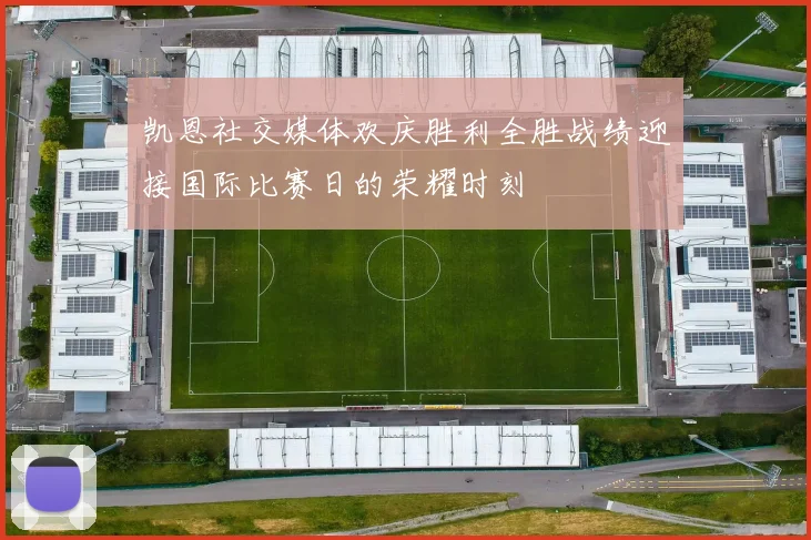 凯恩社交媒体欢庆胜利全胜战绩迎接国际比赛日的荣耀时刻