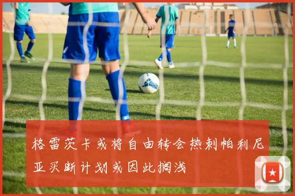 格雷茨卡或将自由转会热刺帕利尼亚买断计划或因此搁浅