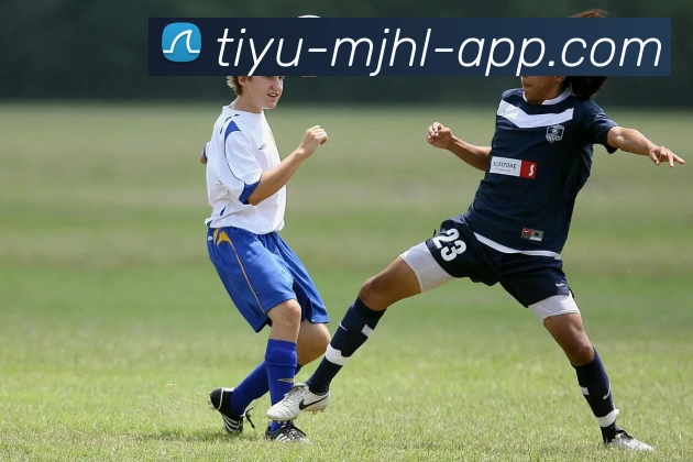 多媒体互动体验