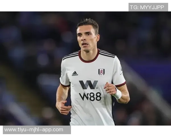 帕利尼亚坚定信心希望葡萄牙早日晋级我随时准备上场助力球队